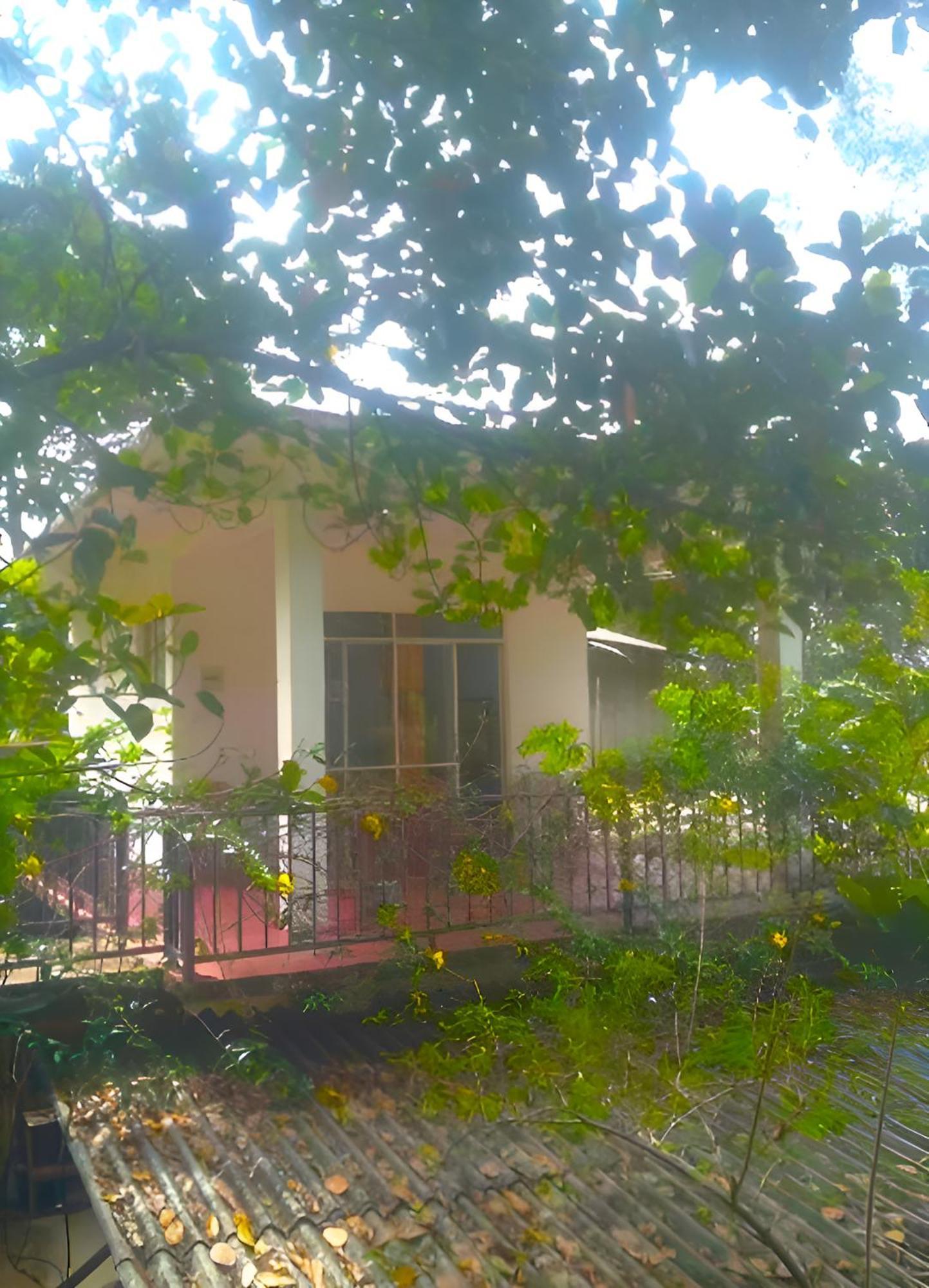 Senehas Homestay เอลลา ภายนอก รูปภาพ